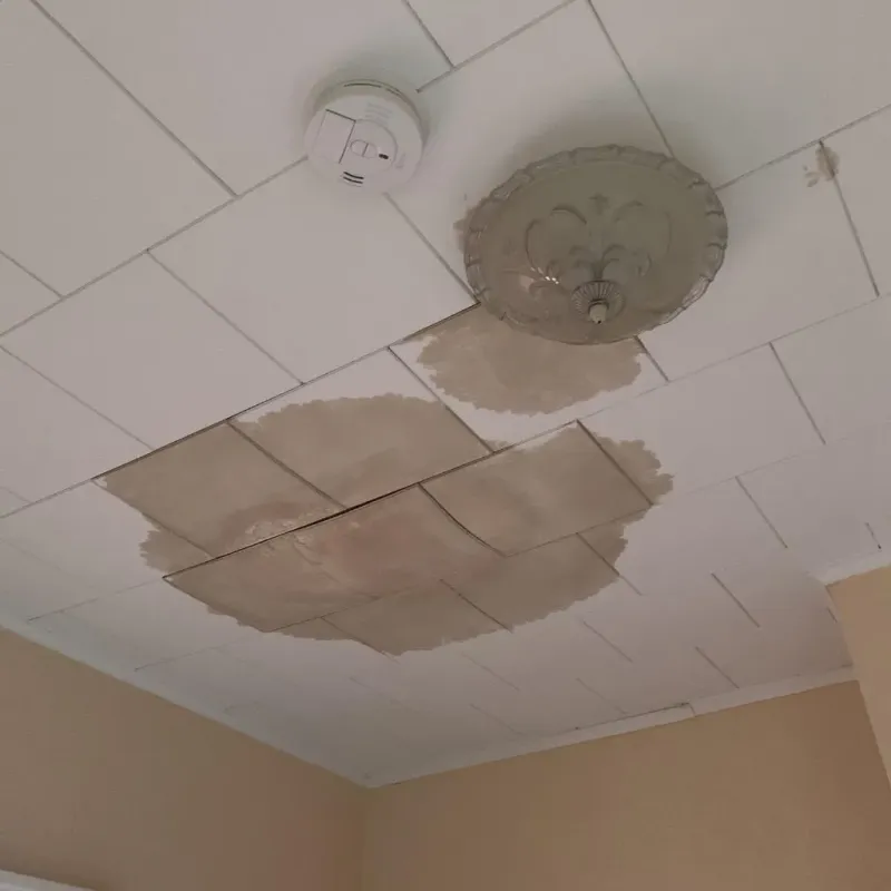 Ceiling Water Damage Repair in South Point, OH